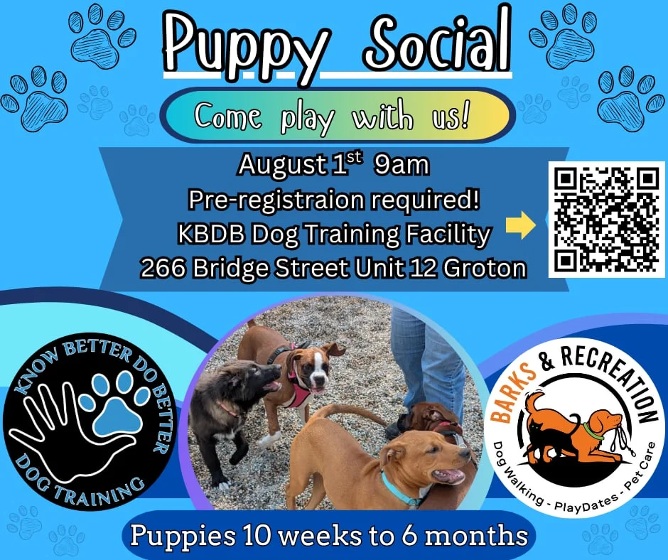 Doggy Social Meet-Up flyer