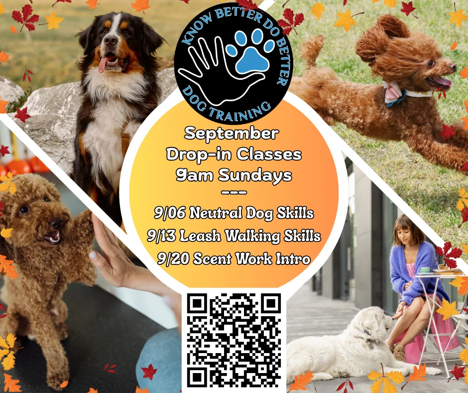 September Weekly Drop-in Classes flyer