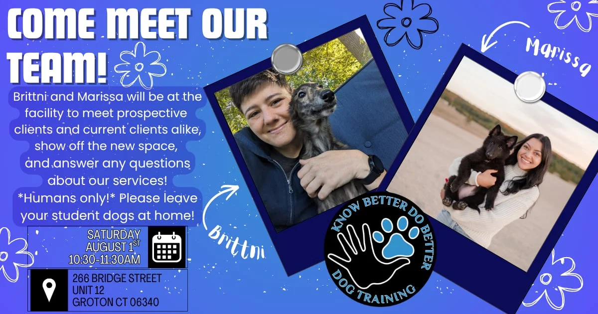 Come Meet Our Team! flyer