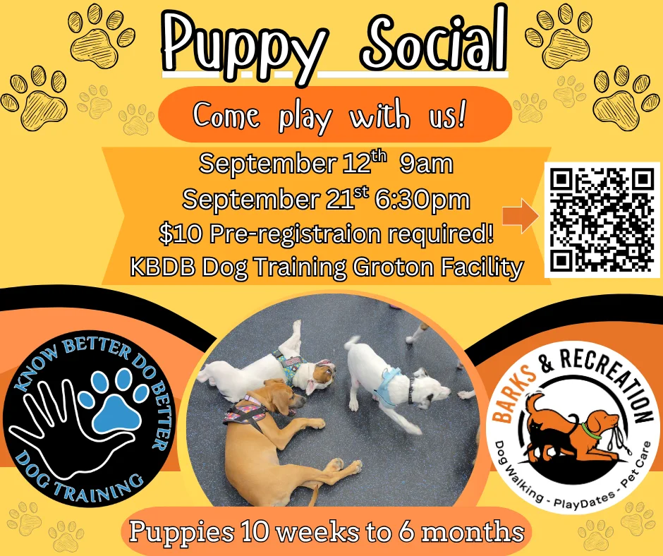 Puppy Social Meet-Up flyer