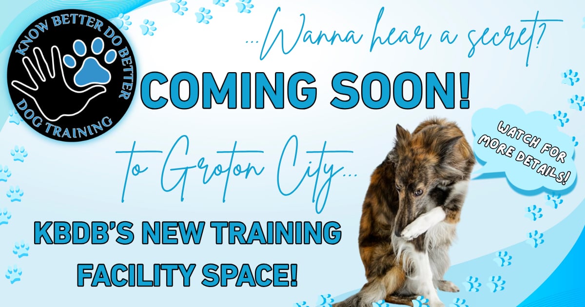 KBDB Dog Training coming soon to Groton City — new training facility space